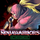 The Ninja Warriors Once Again