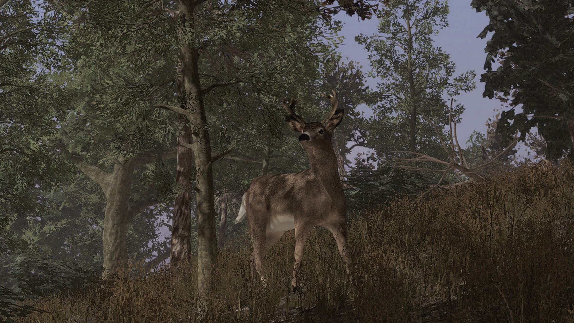 pro deer hunting ps4