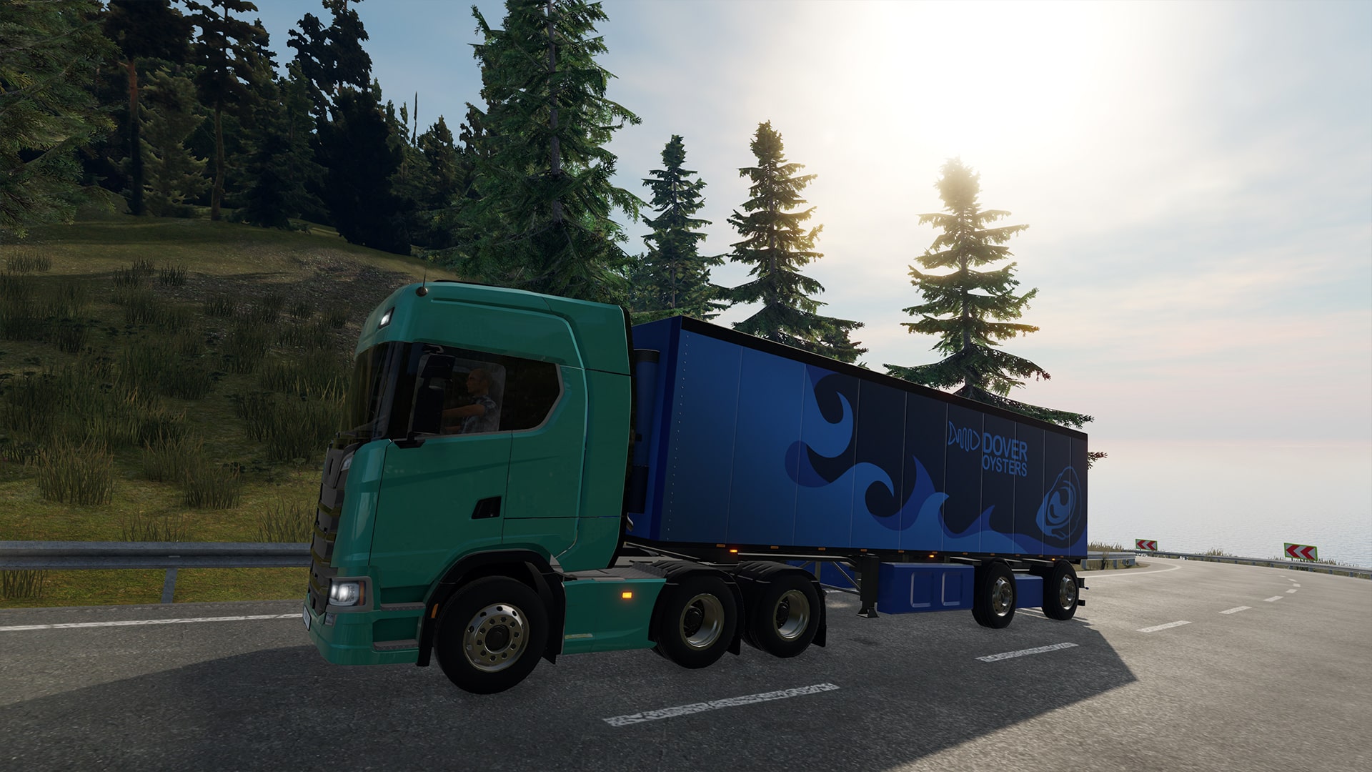 truck driver psn