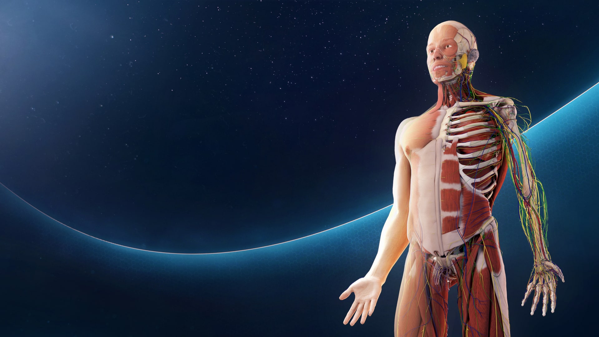 Human Anatomy VR (English)