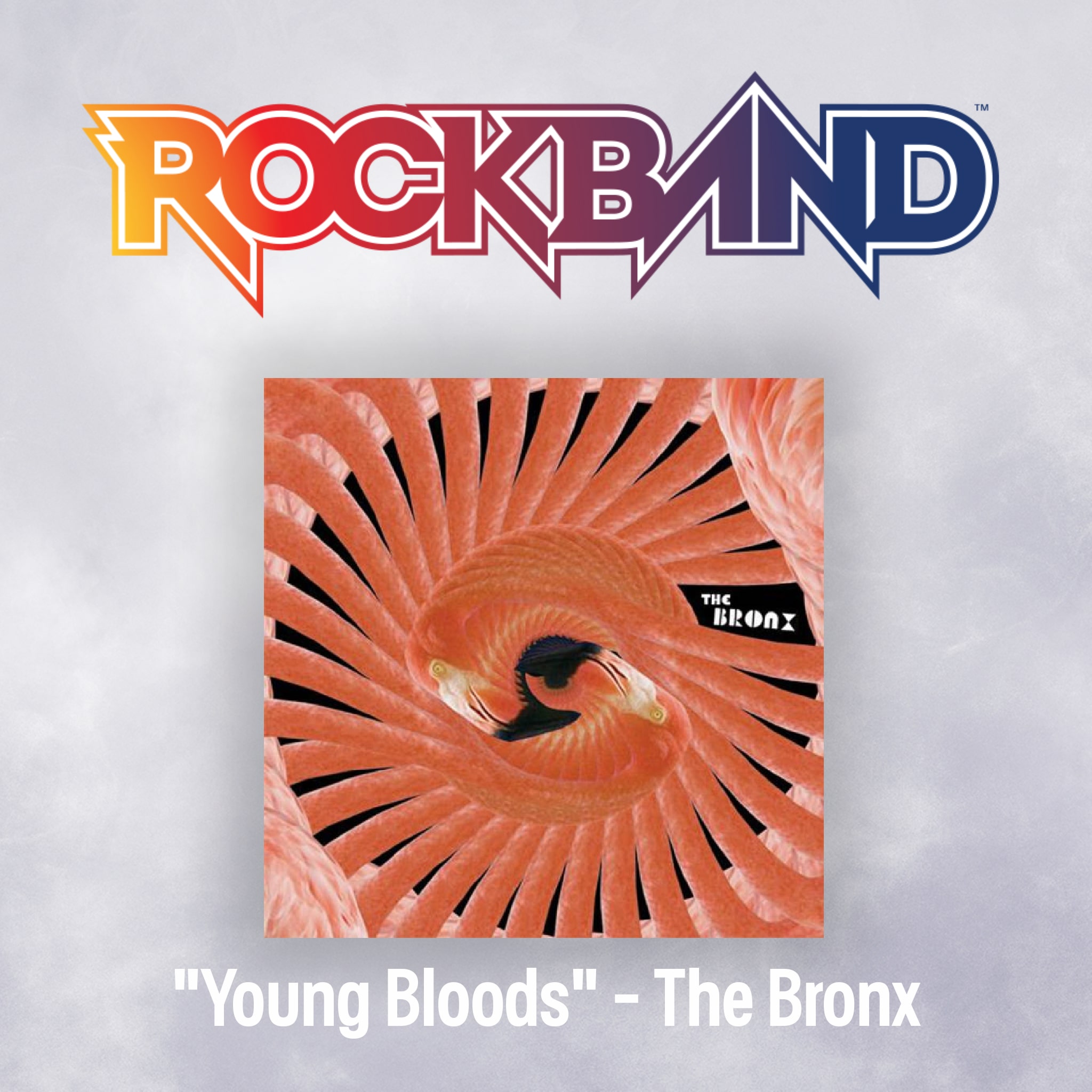 'Young Bloods' - The Bronx