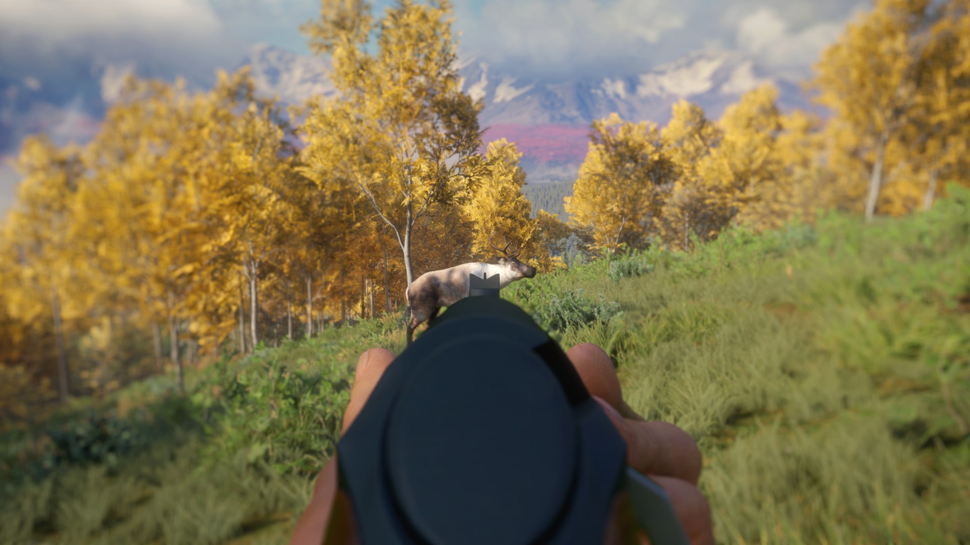 theHunter: Call of the Wild - Hunter Power Pack at the best price