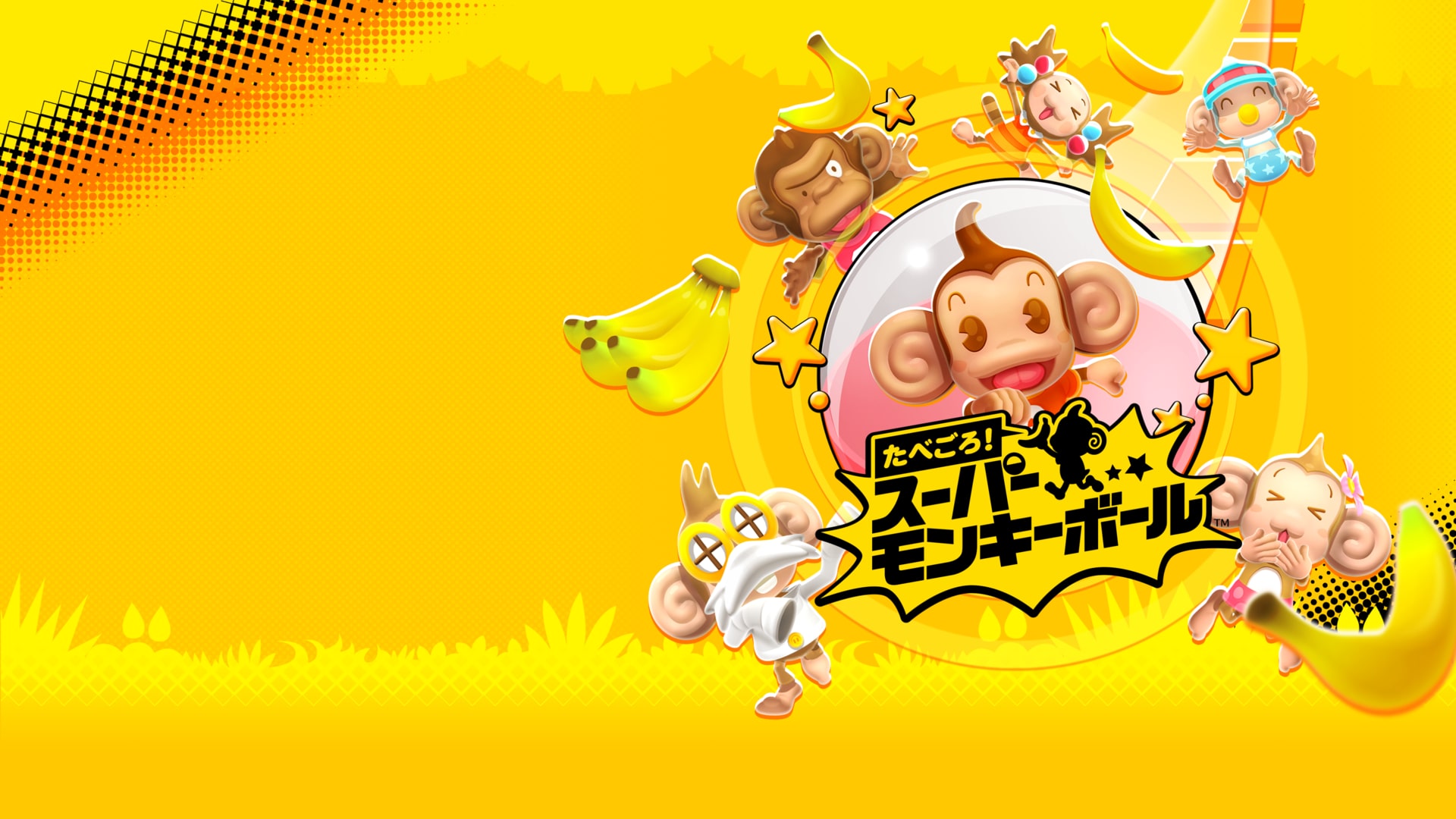 モンキーボール　MONKEY　BALL　ブラストシティ筐体専用インストカード モンキーボール MONKEY BALL ブラストシティ筐体専用インスト