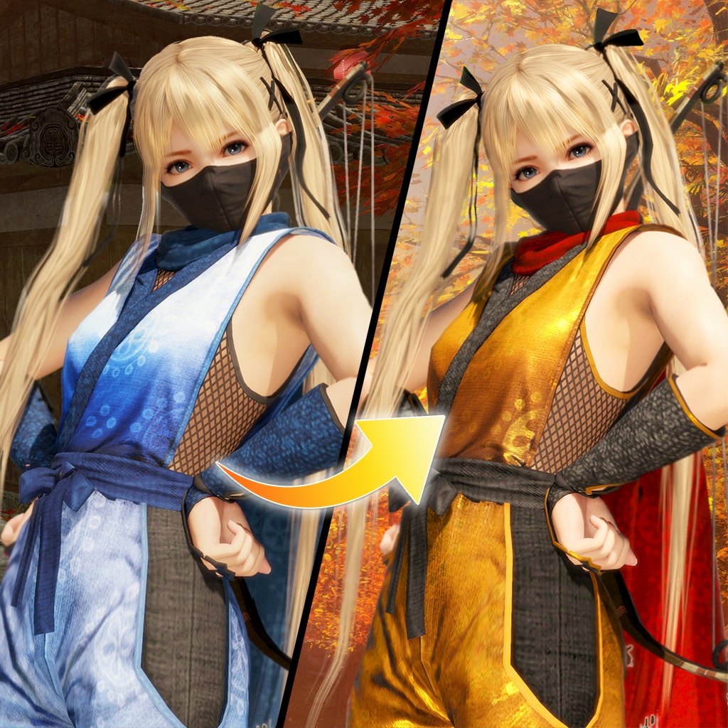 DOA6 变身！NINJA服装 玛莉萝丝 (中日英韩文版)