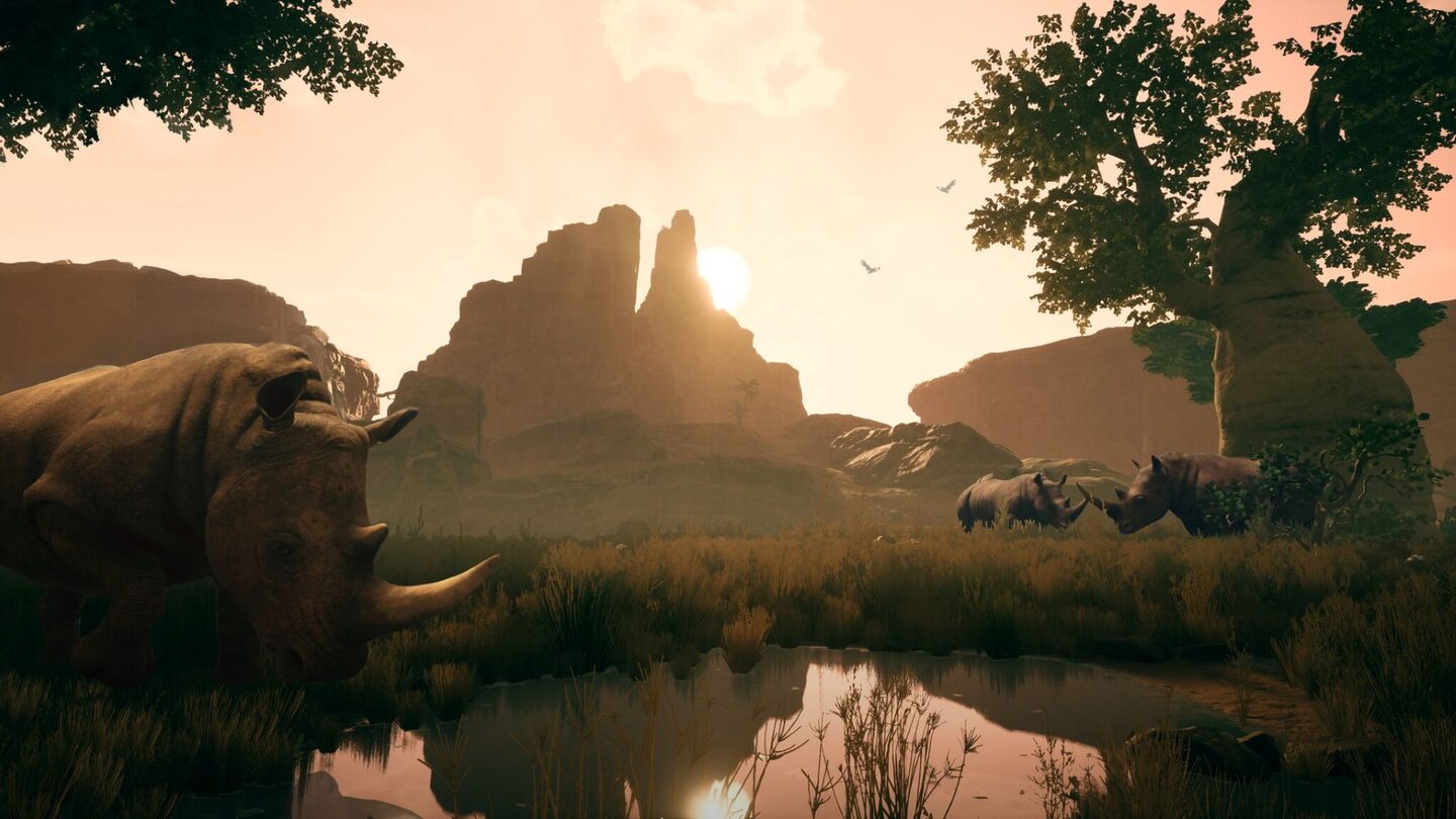 Full Size Image