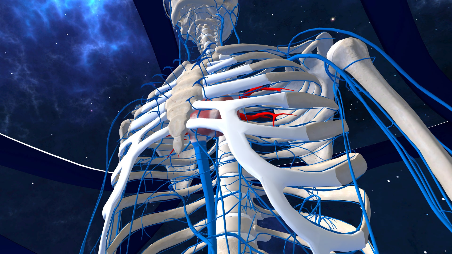 human anatomy vr ps4 review