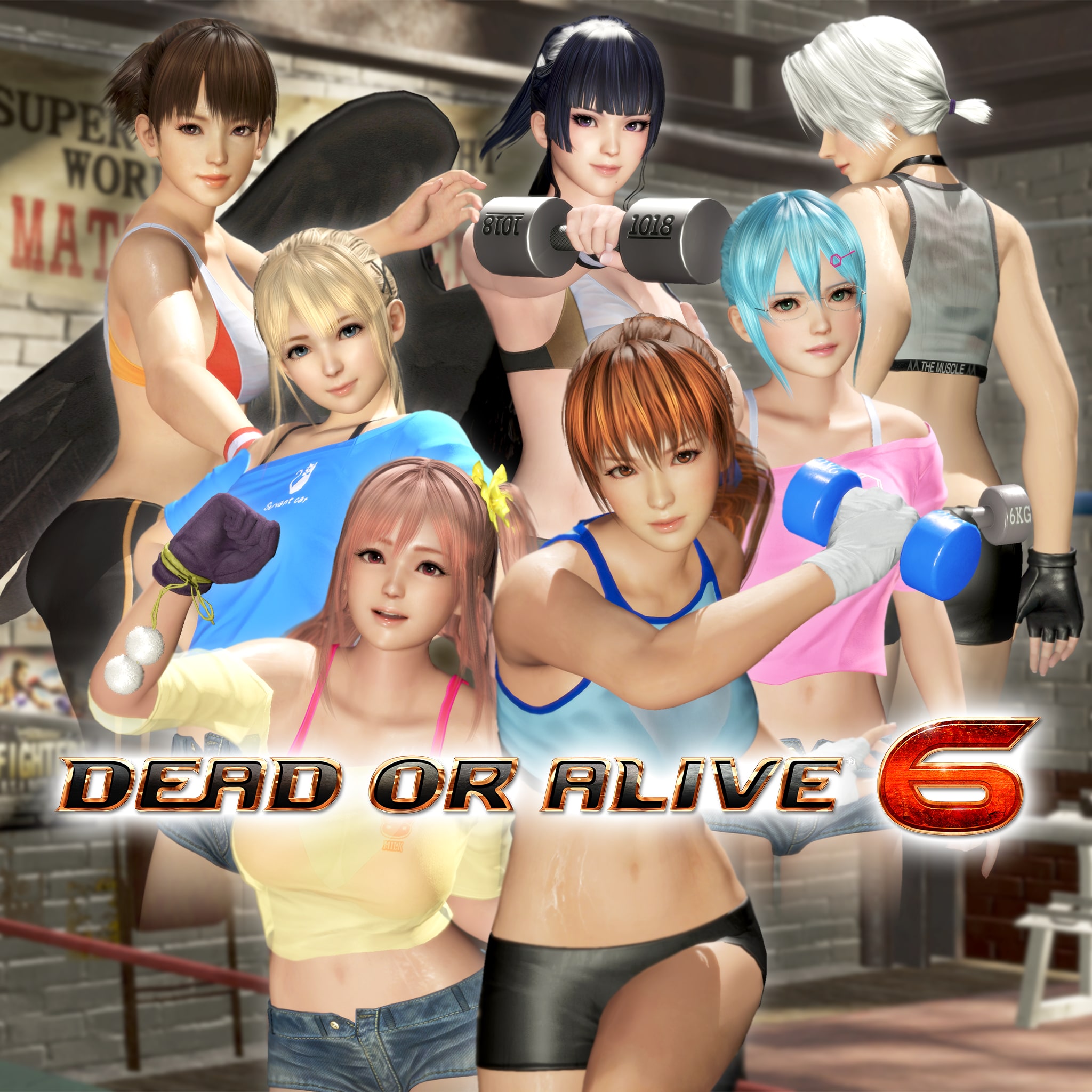 Dead Or Alive 6 Core Fighters 