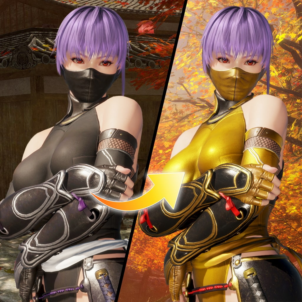 DOA6 変身！NINJAコスチューム あやね