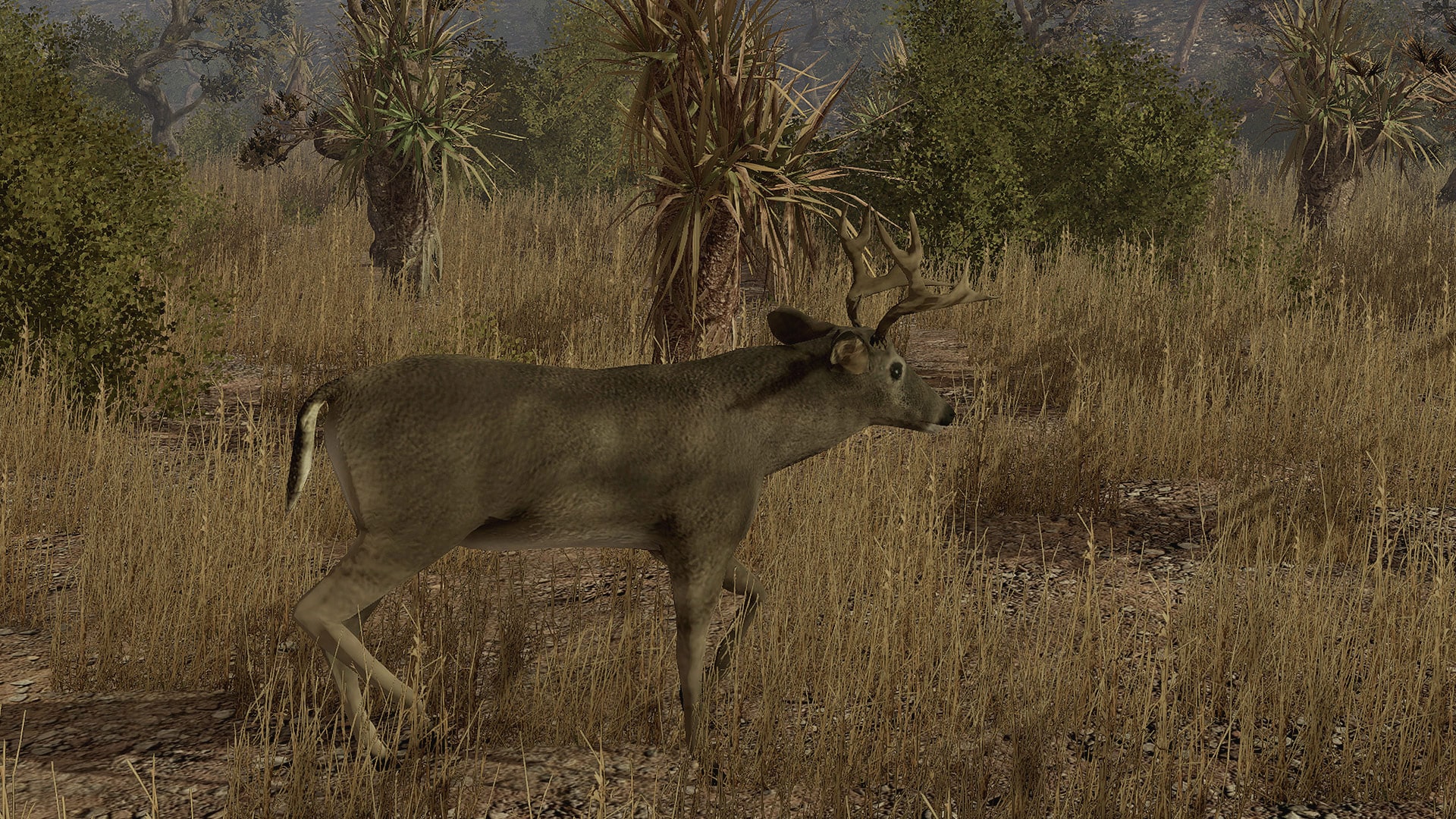 Hunting ps4. Pro Deer Hunting 2. Cabela’s Deer Hunt: 2023 года. Охота скрин. Деер Атия.