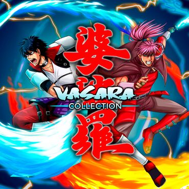 VASARA Collection cover image