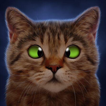 Xposed — Cross-Eyed Cat Avatar on PS4 — price history, screenshots ...