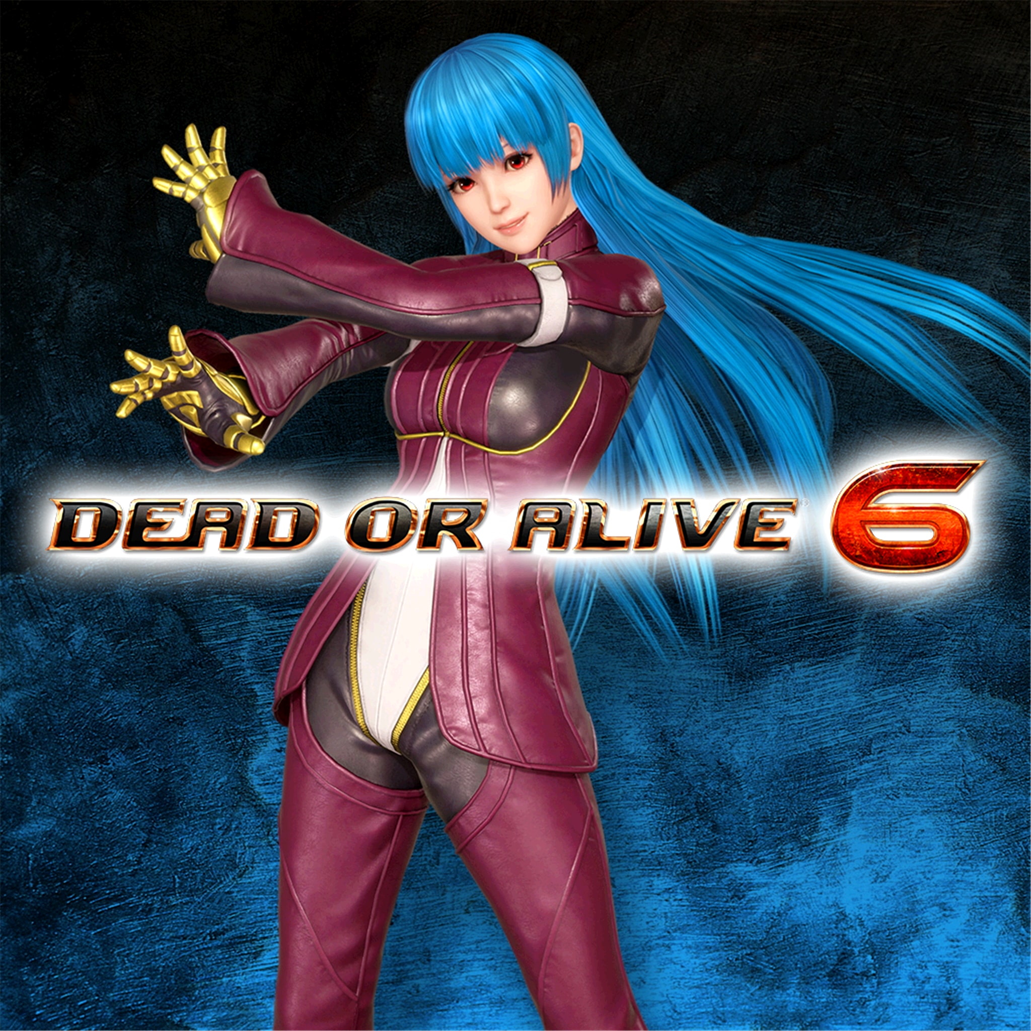 DOA6 Character: Kula Diamond