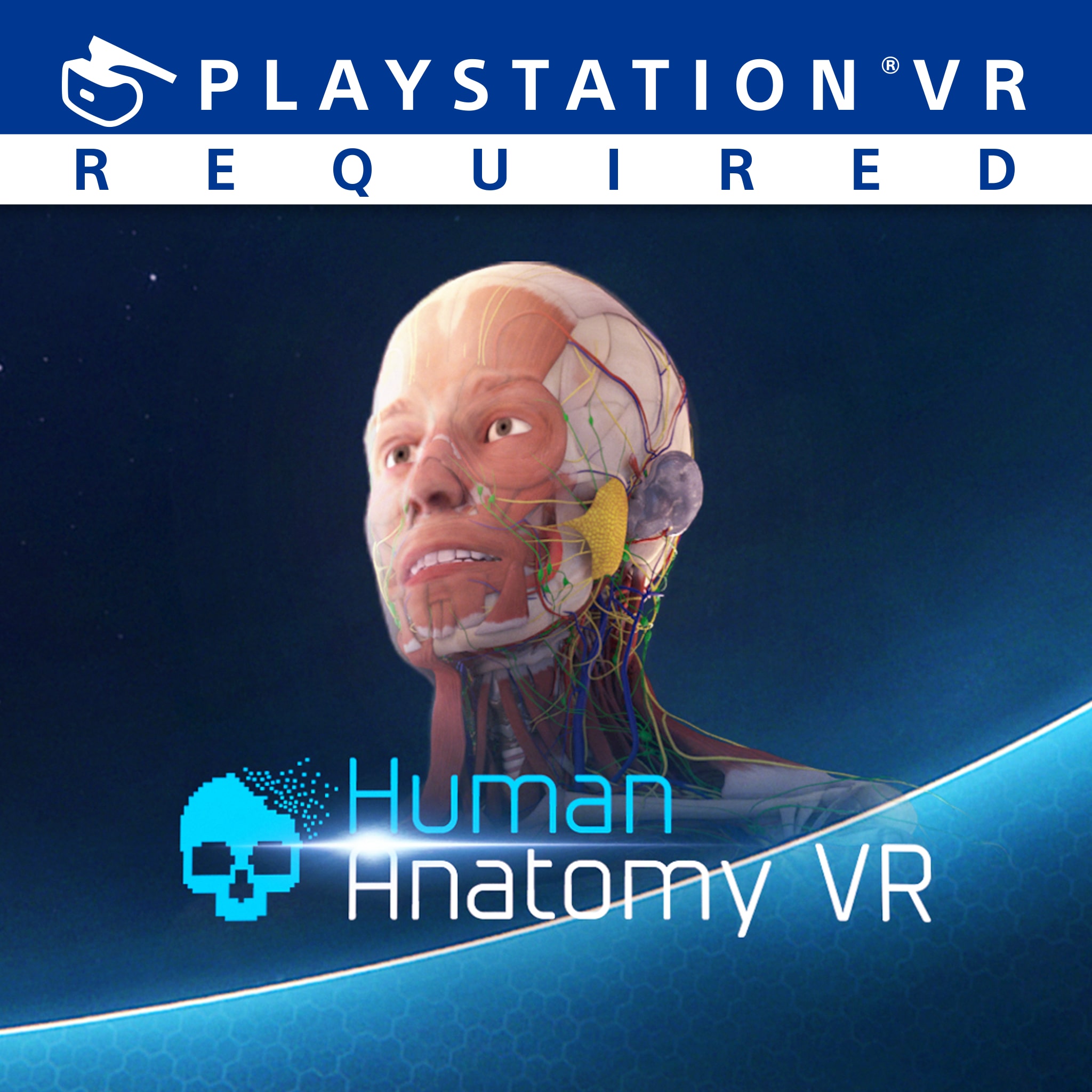 Human Anatomy VR