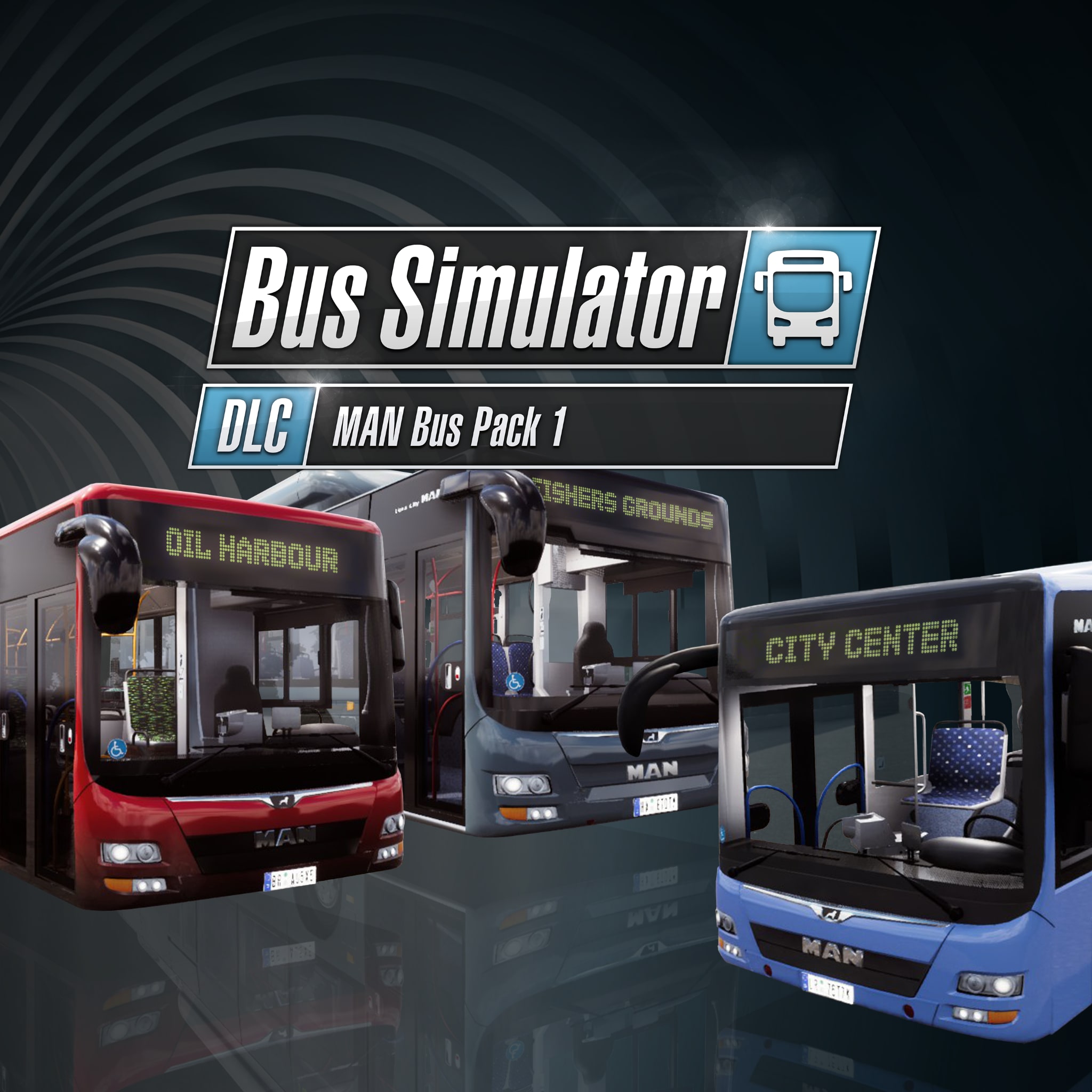 how to change company name bus simulator 18