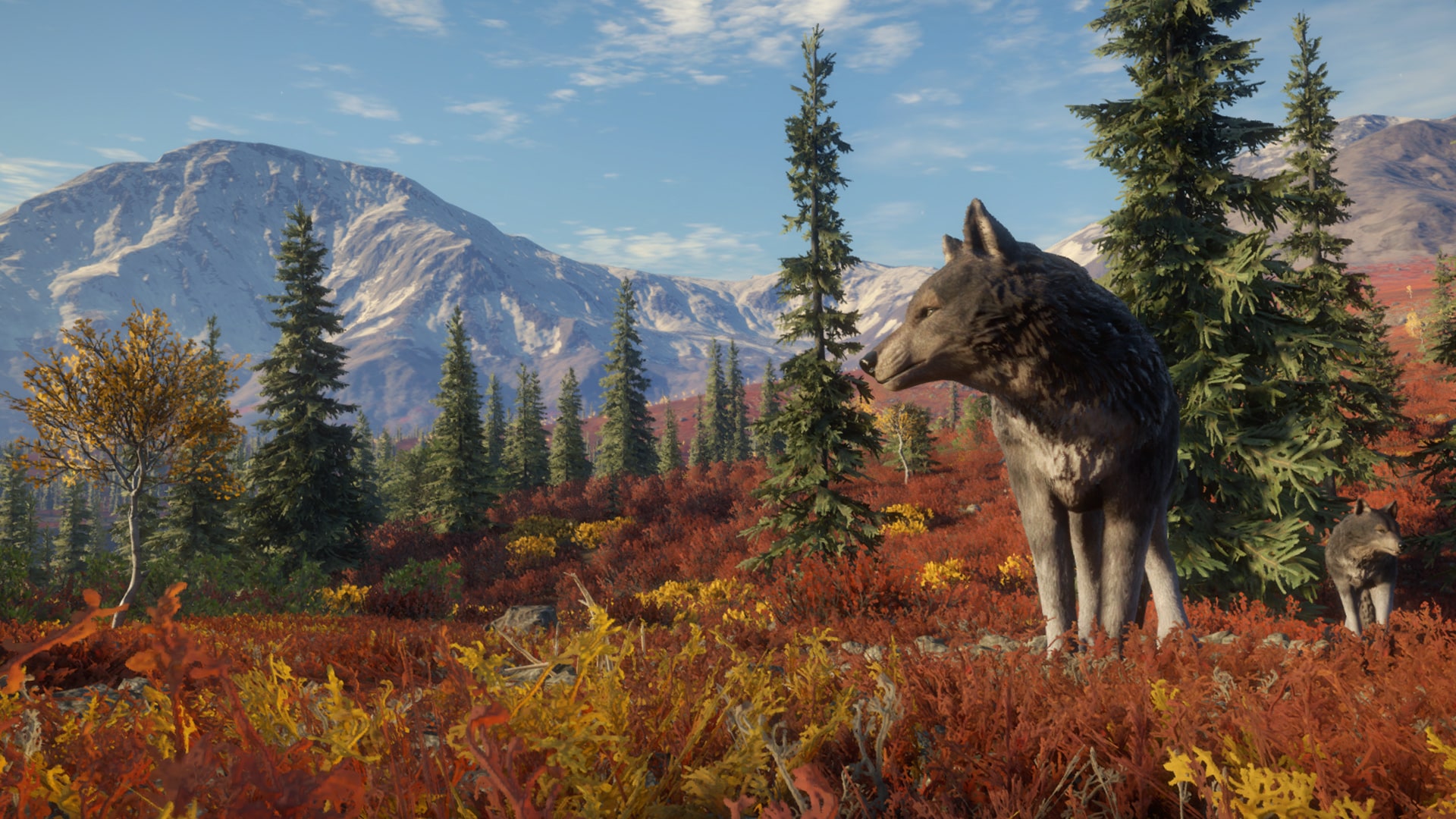 thehunter call of the wild coyote locations
