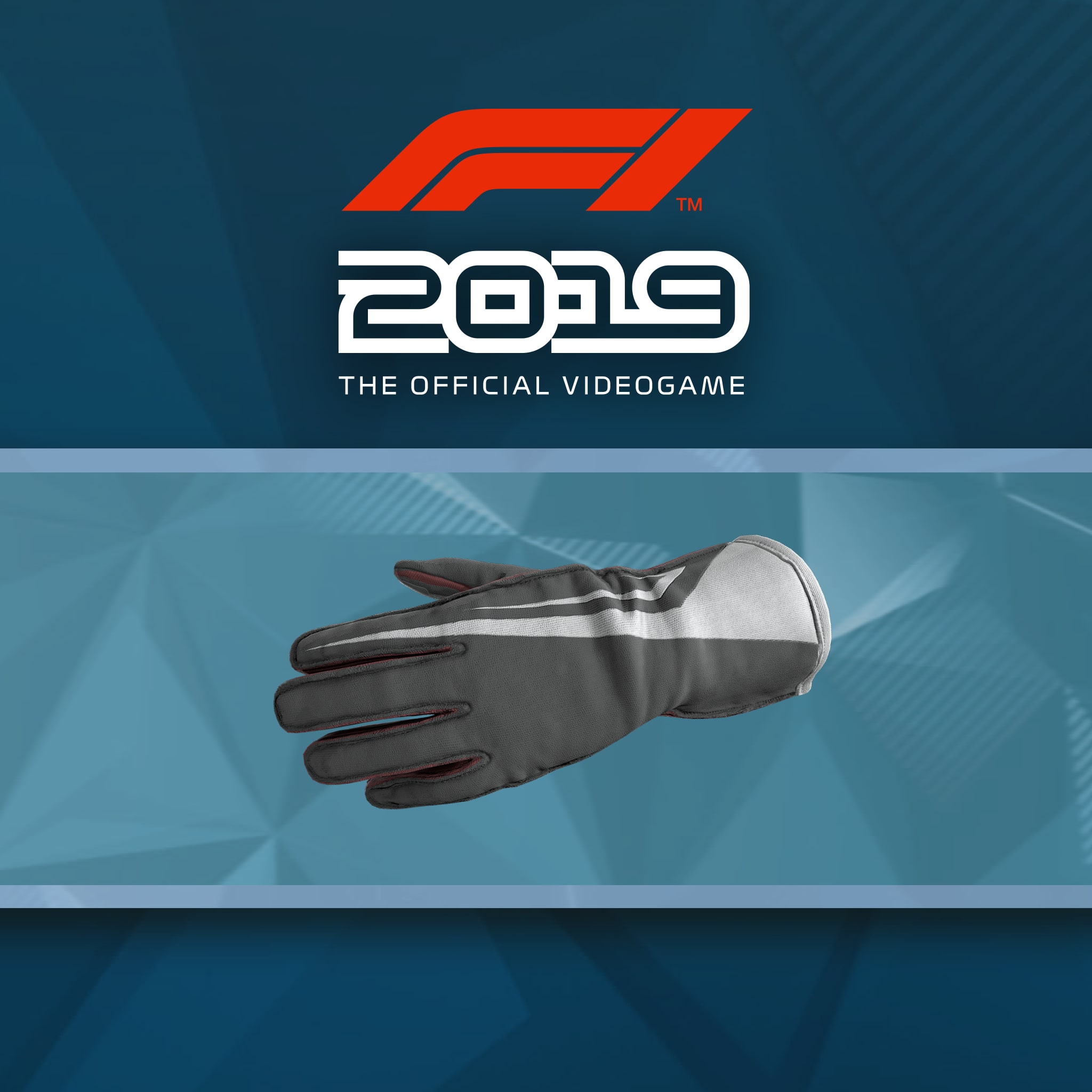 F1® 2019: Gloves 'Maroon Vroom'