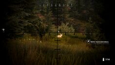 screenshot5