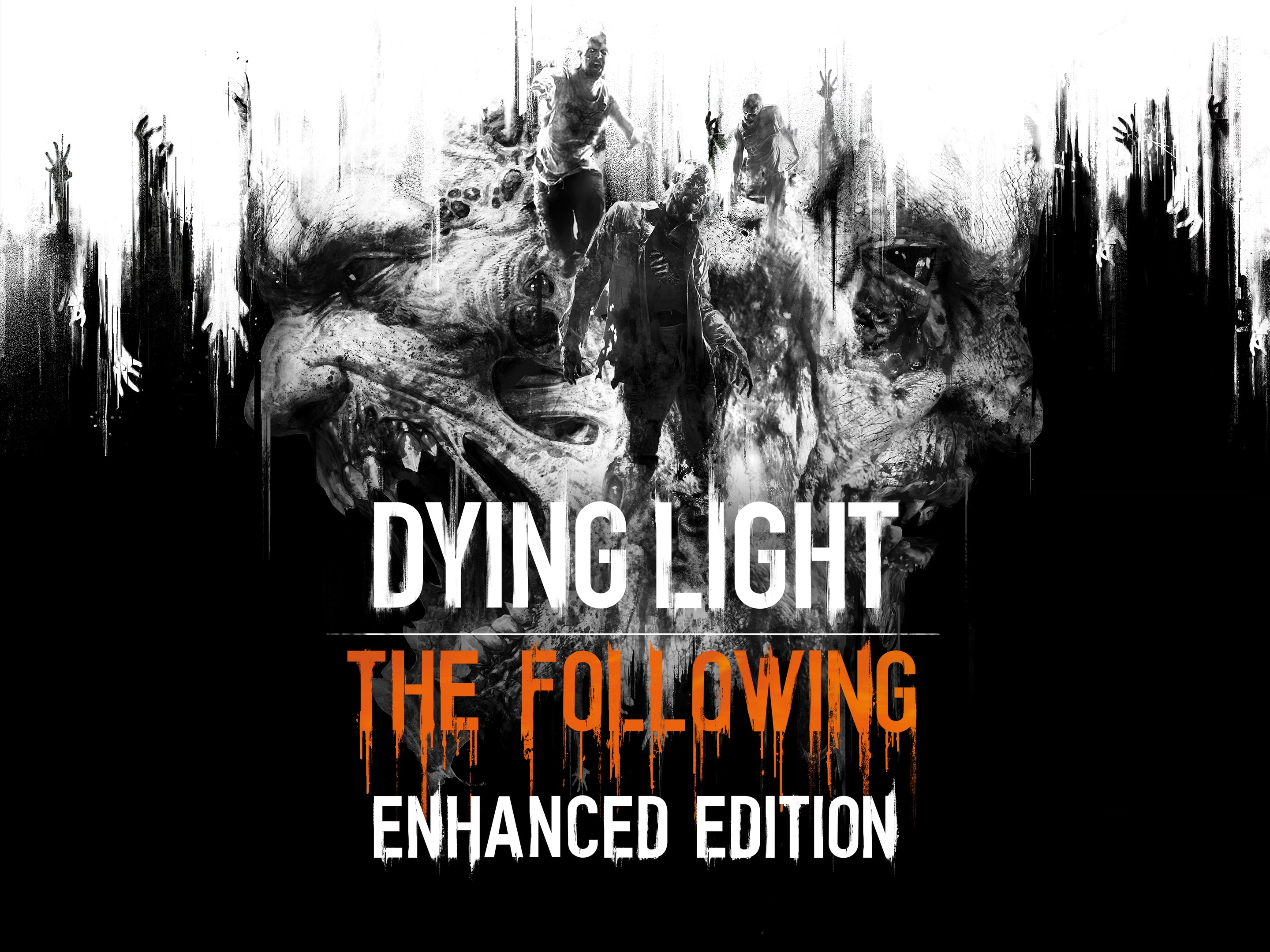  Dying Light Anniversary Edition - PlayStation 4 : Square Enix  LLC: Everything Else