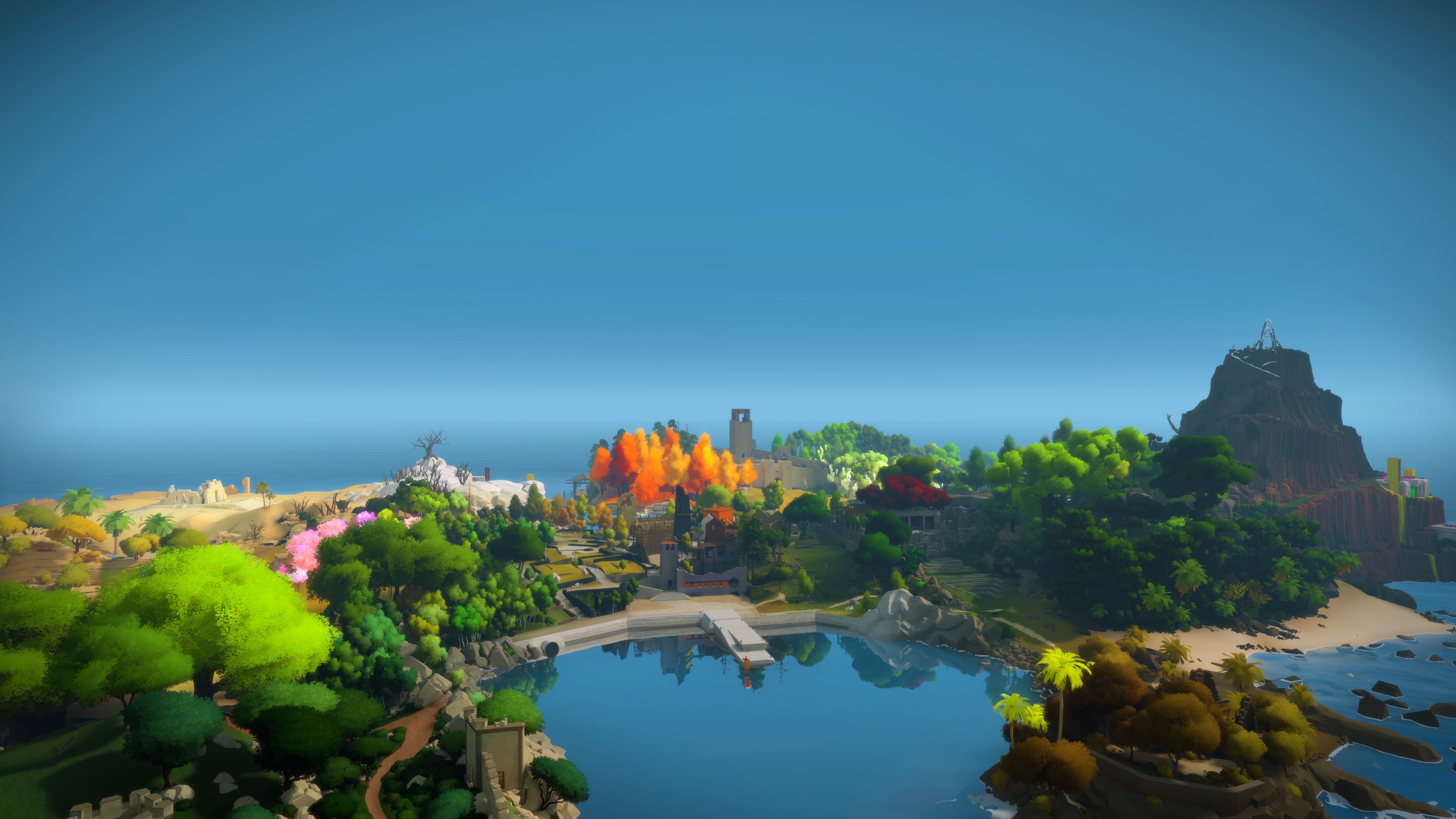 the witness ps4 sale