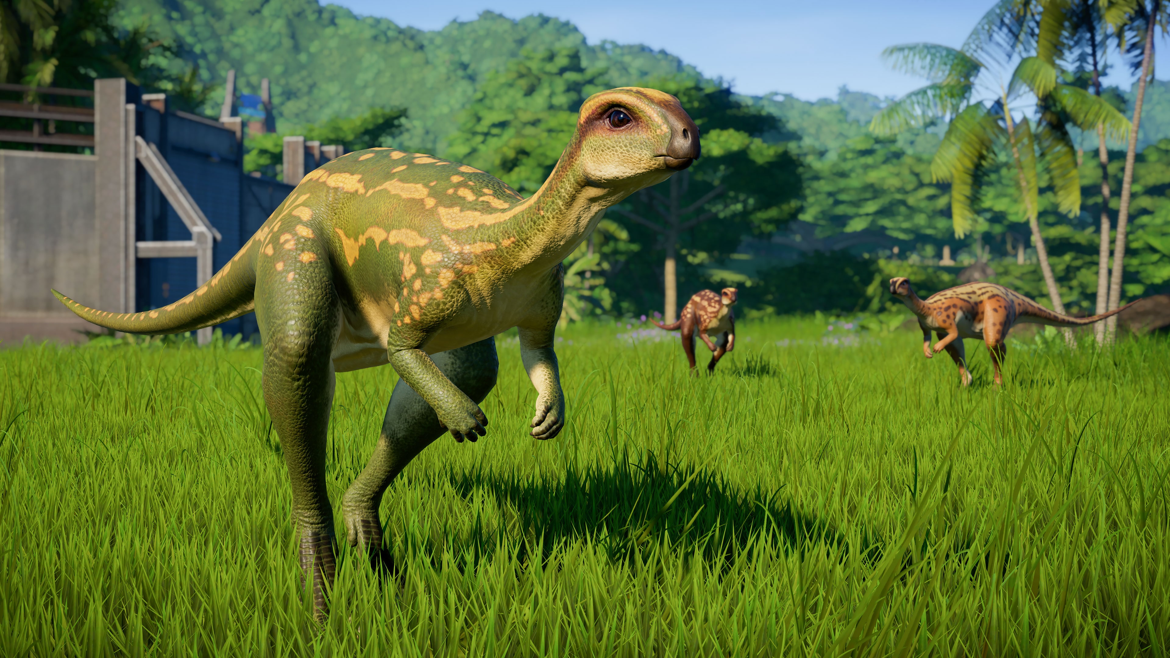 Юрский период игра. Дриозавр Jurassic World Evolution. Jurassic World Evolution травоядные. Jurassic World Evolution: Herbivore Dinosaur Pack. Гомалоцефал Jurassic World Evolution.