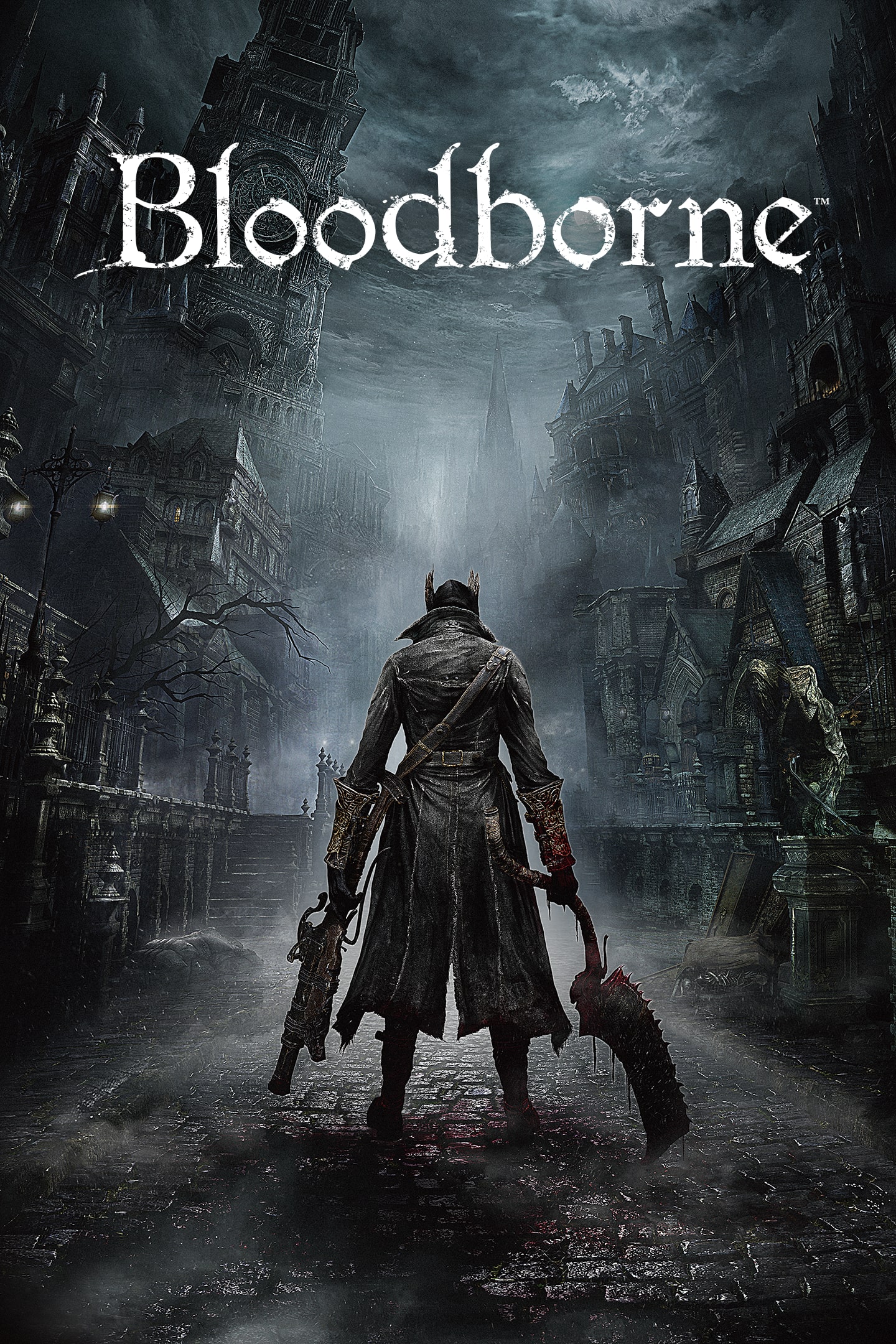 Bloodborne, Software