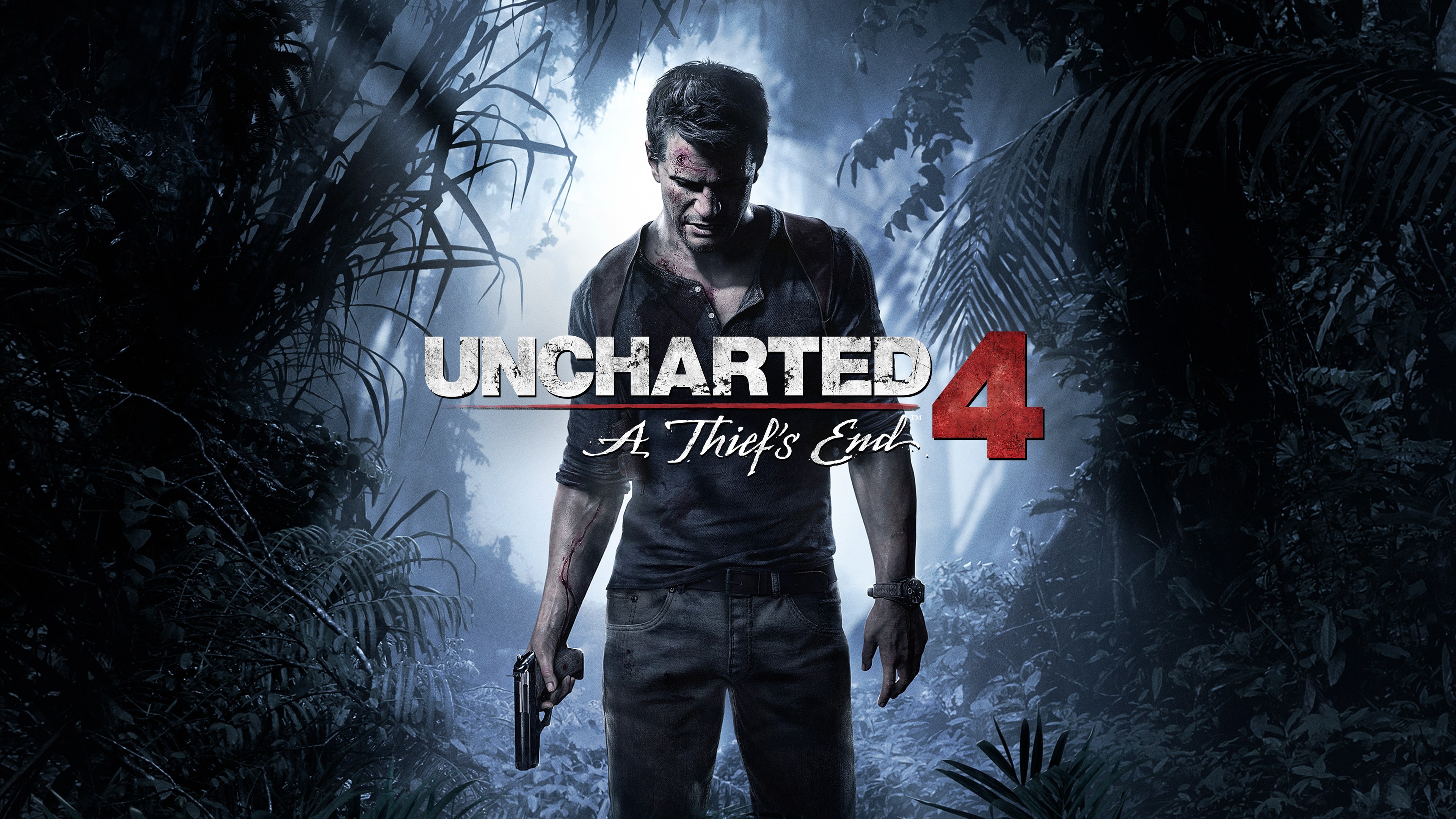 Uncharted 4: A Thief's End, Software