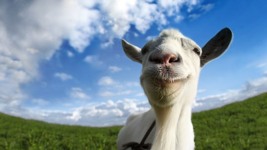 Goat Simulator DLC Bundle for playstation