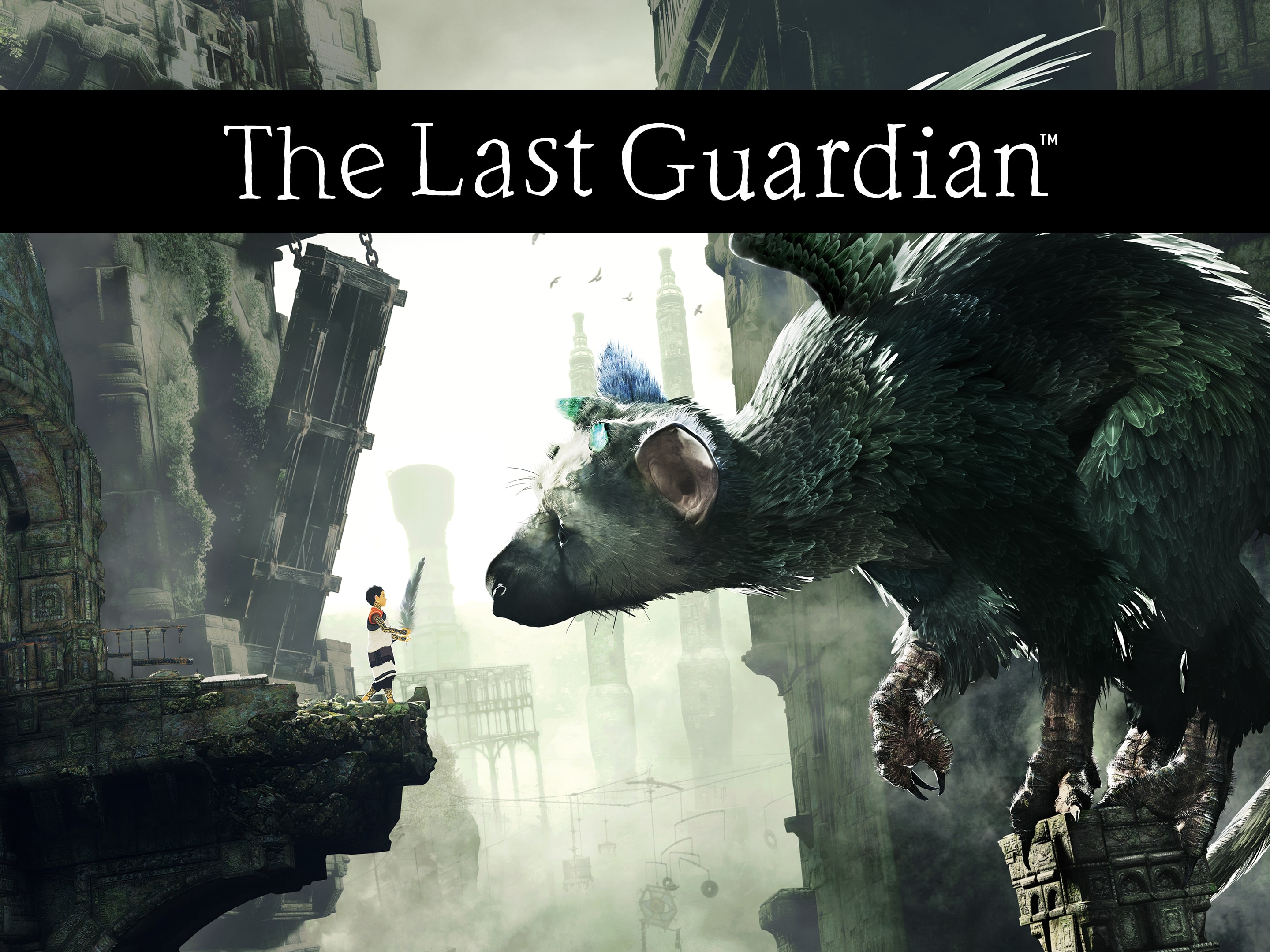  The Last Guardian (English & Chinese Subs) for PlayStation 4 [ PS4] : Video Games