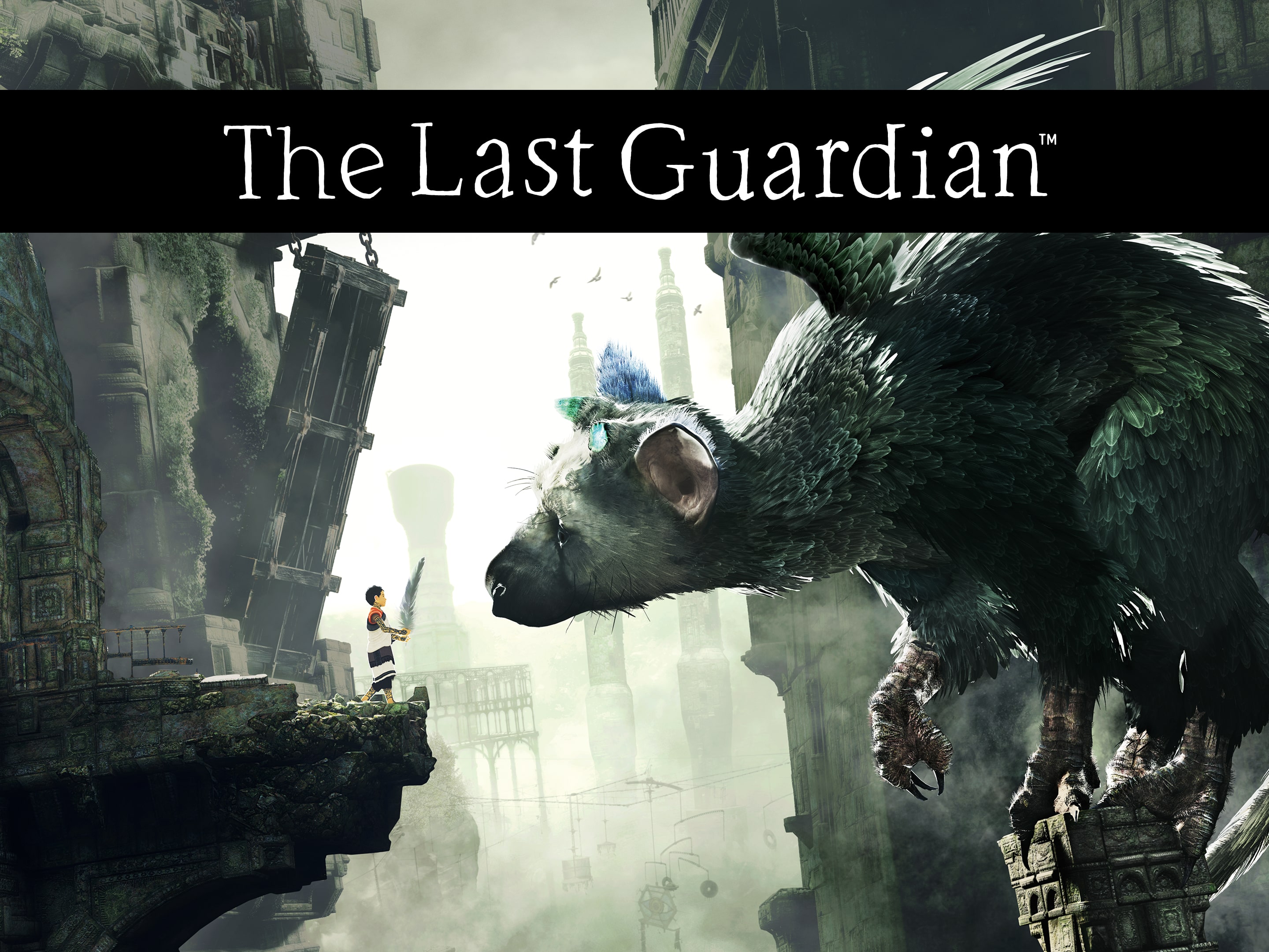 The Last Guardian shown at E3 by Sony, coming next year