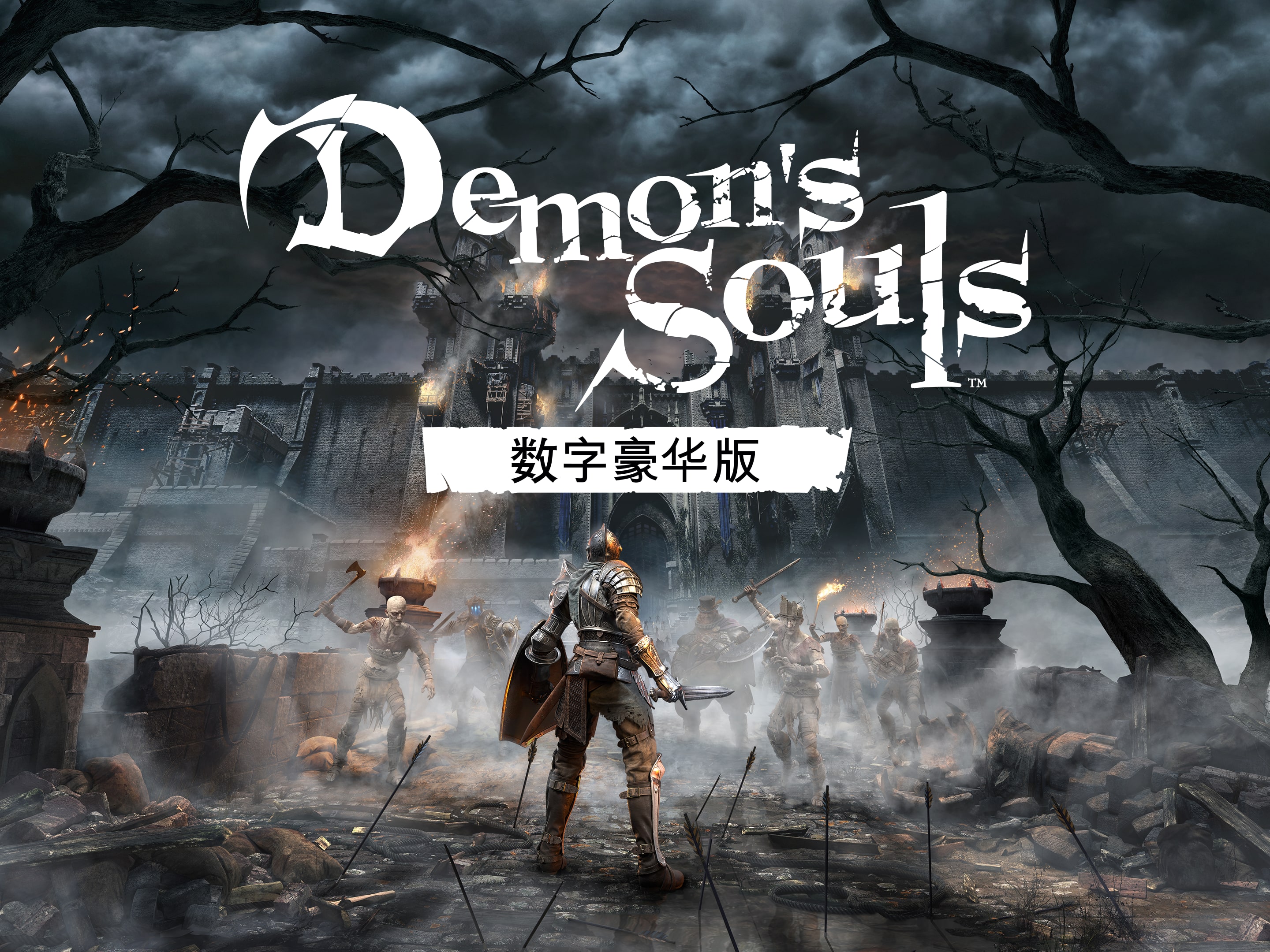 Demon's Souls (泰语, 韩语, 简体中文, 繁体中文, 英语)