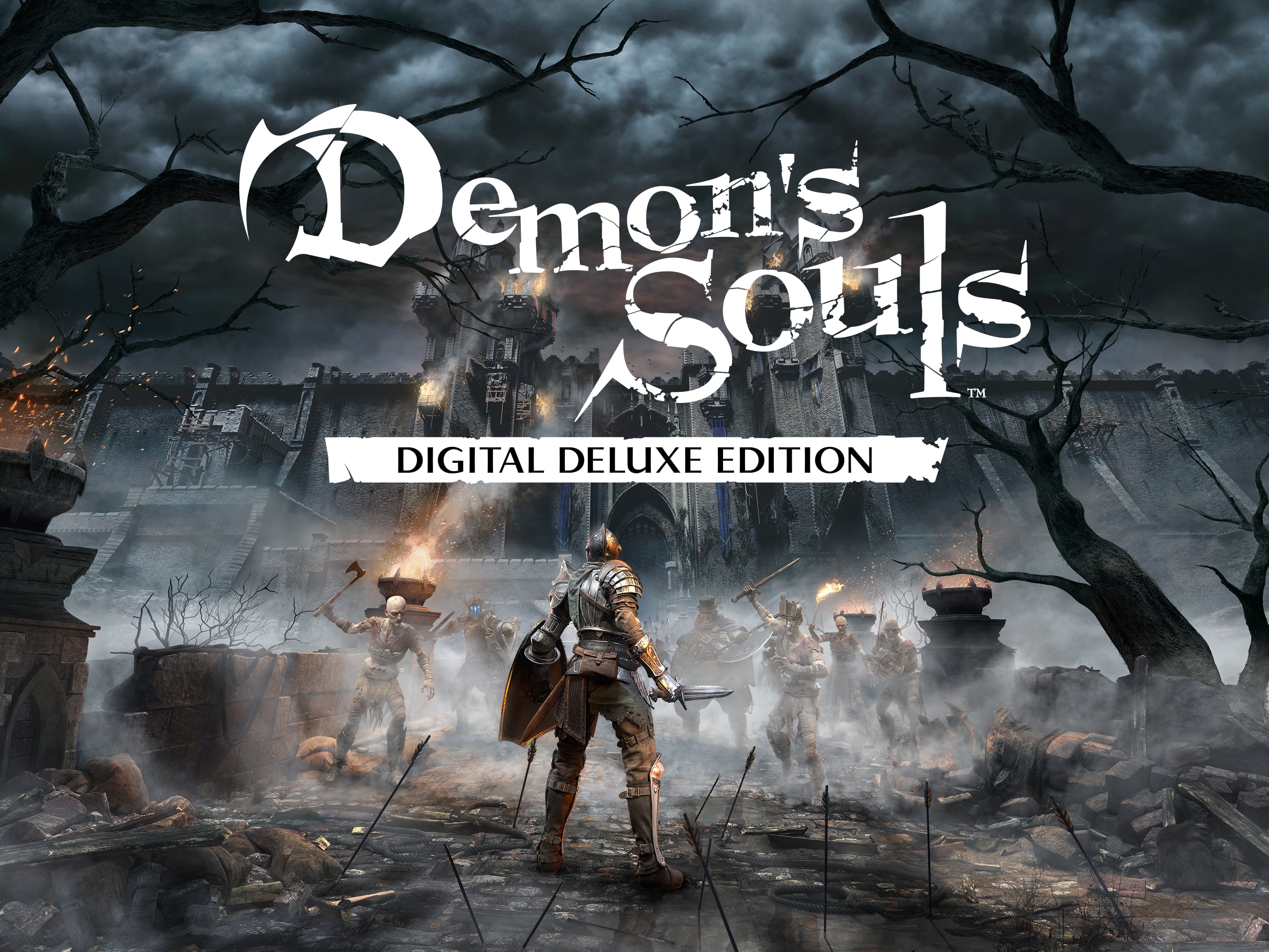 Demon's Souls Remake Box Art | lupon.gov.ph