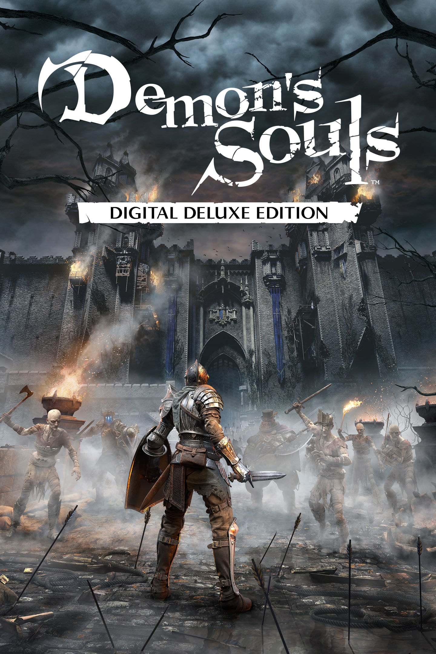 Demon's Souls Remake Box Art | lupon.gov.ph