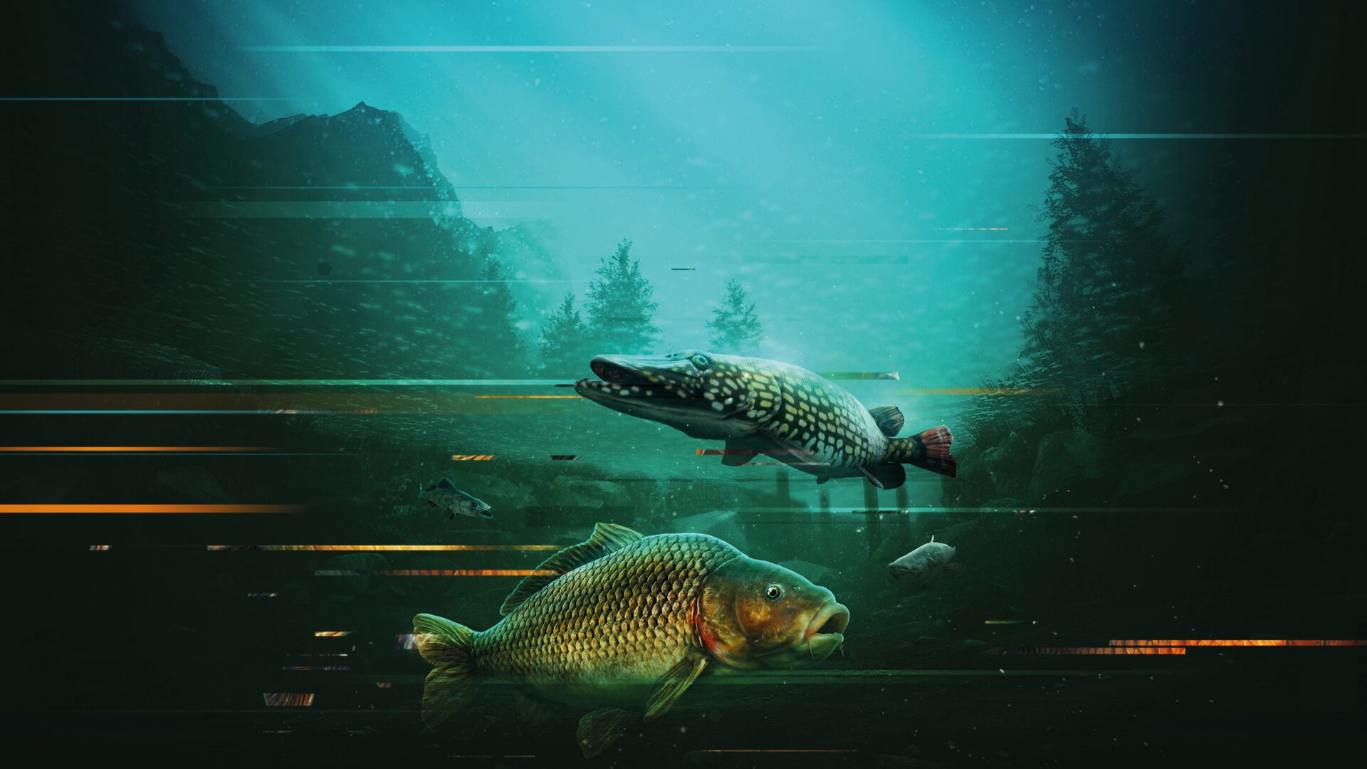 The Catch: Carp & Coarse - Collector's Edition