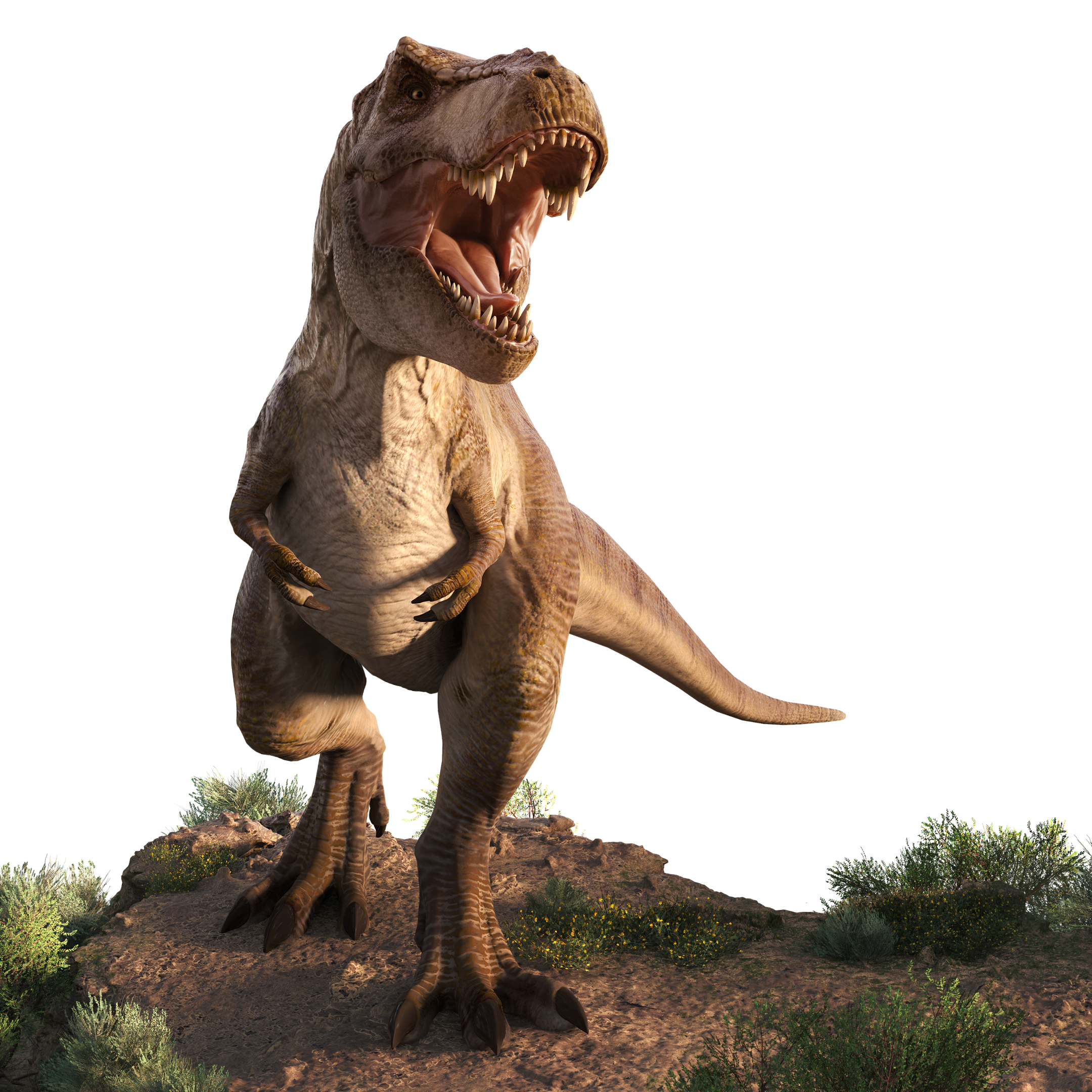 Jurassic World Evolution 2 : Le Pack de Dinosaures ''La Colo Du