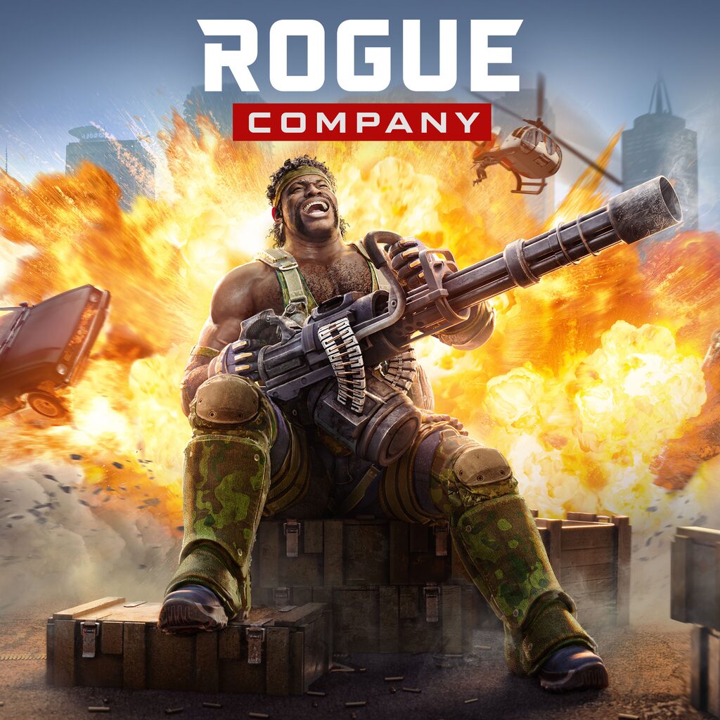 rogue-company